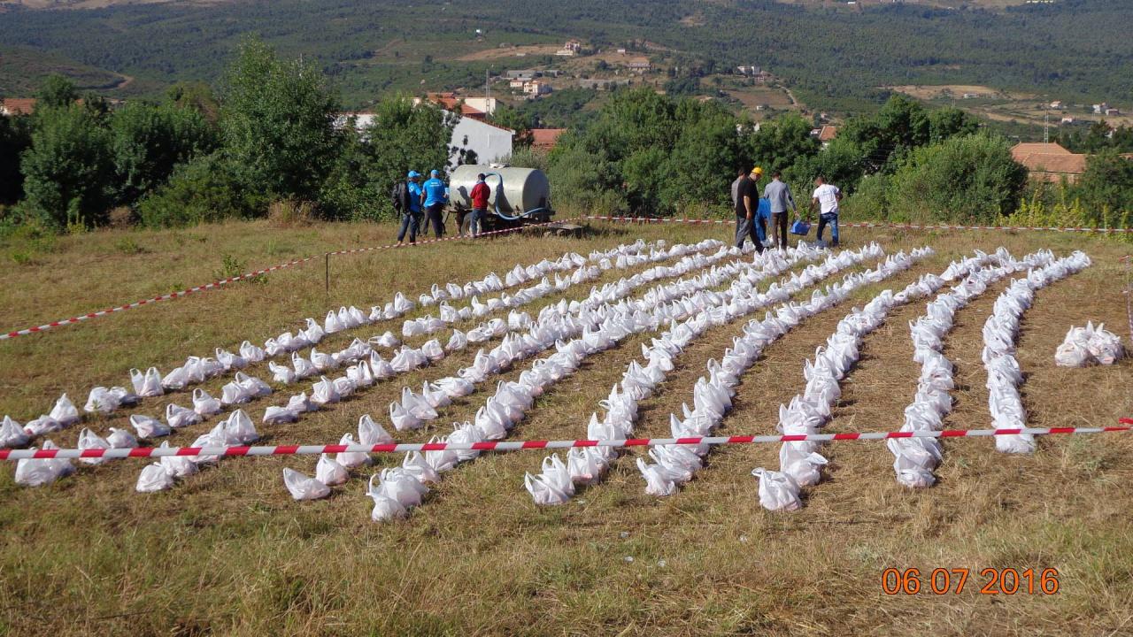 Lawzia 2016