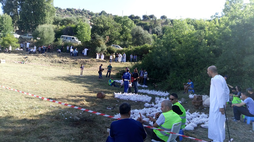 Lawzia 2017-2