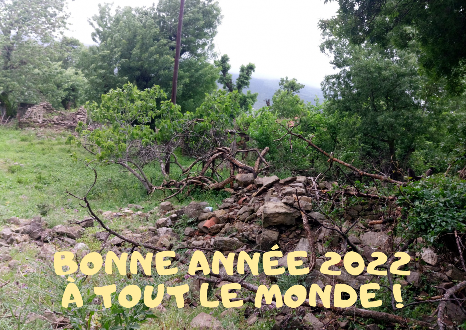 Bonne annee 2022 a tout le monde 1